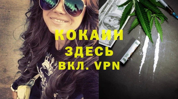 стаф Осинники