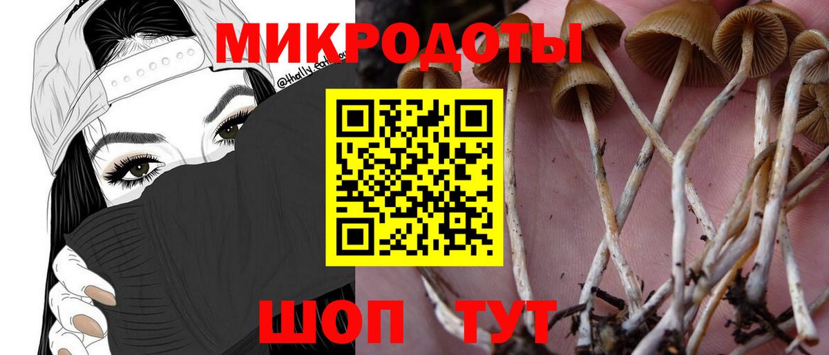Псилоцибиновые грибы мухоморы  купить закладку  Можайск  Вход с VPN 